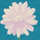 Bloomink Palette