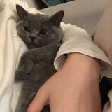 fuguifuguishizhimiao