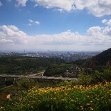 fenxianghaojuya