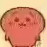 zongzigzhu