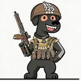 725taolitakefu
