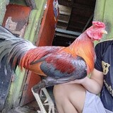 Ruben Vargas_1199