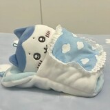 weisuoxinchaonan_