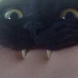 rinrinxu
