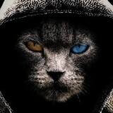 jigsaw_kw