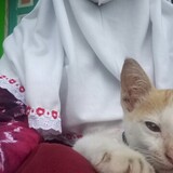 bili_2146185054