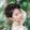 deer_xiaoluya