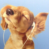 ระดับเทพซ่า