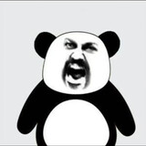 ludanduizhangdonghua