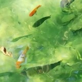 xingziji