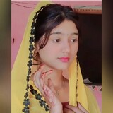 bili_1022258824
