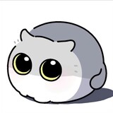 zhenshijjj