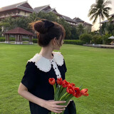 zhayanyexing