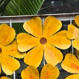 bili_1724912033