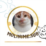 Molinime.sub