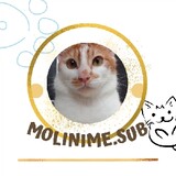 Molinime.sub