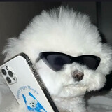 ccclegecissy