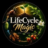 Lifecycle Magic