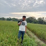 Dedy Jhon OMpusunggu