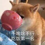 huoguo_qianfu
