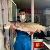 yuwanxiongdi