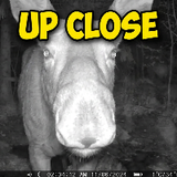 eu.wildlife