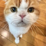 mulenengji