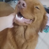 ixiaolu