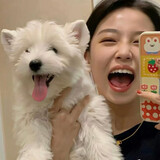 lvxingdexiaojiajiang