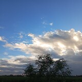 Md Ratul_9309