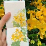chenxiaonuolin