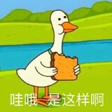 zhenlidebeilun
