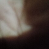 wefy