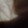 wefy