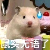 shitadiuxiawode