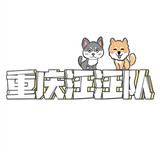 zhongqingwangwangdui