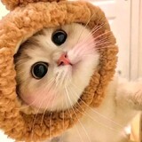 renjianxiaokeairjxka