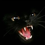 feey_
