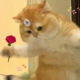 waxiaochengkeke