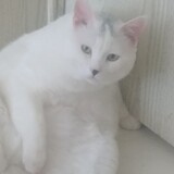 yiyizhi___
