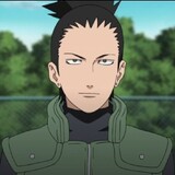 ShikamaruNara_Clan