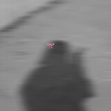 ดียันนี่