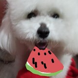 aiguoderenshi