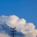 xuxiaowenxu_xiao_wen