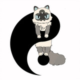 ___taijidepai___lu
