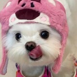 liyuanyi