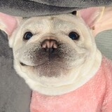 dongnuanxialiangsj
