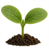 Life Lessons Tips
