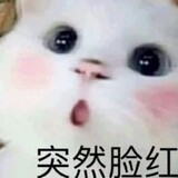 yinerlianzizhouya