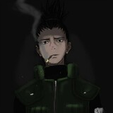 わざわざ
